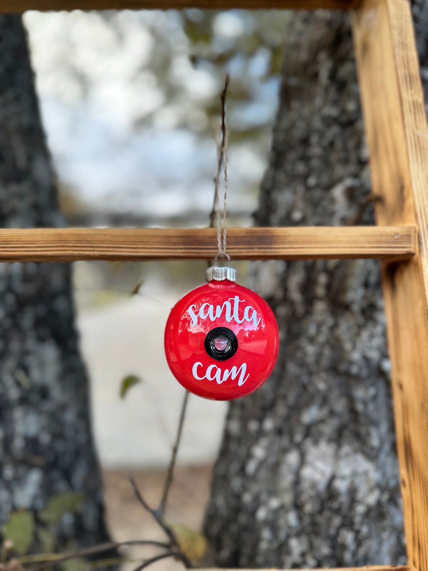 Santa Cam with Personalized Letter